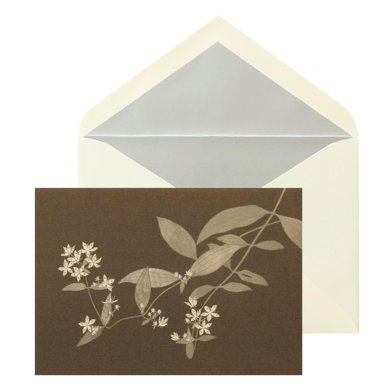 No.631β ܥΥ Pɥåȡ6