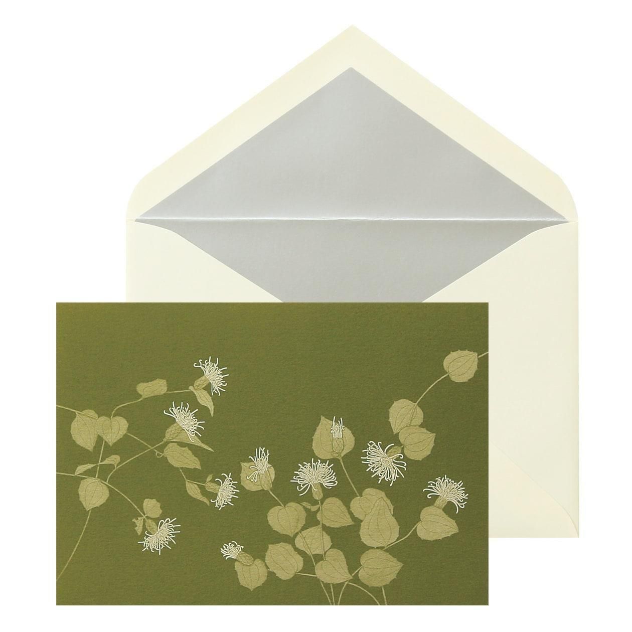 No.631β ܥ Pɥåȡ6