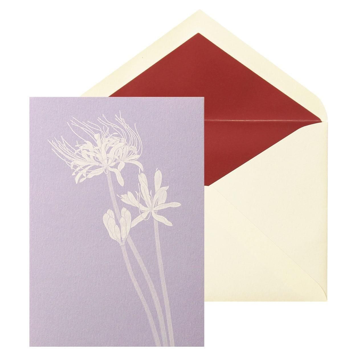 No.631β ҥХ Pɥåȡ6