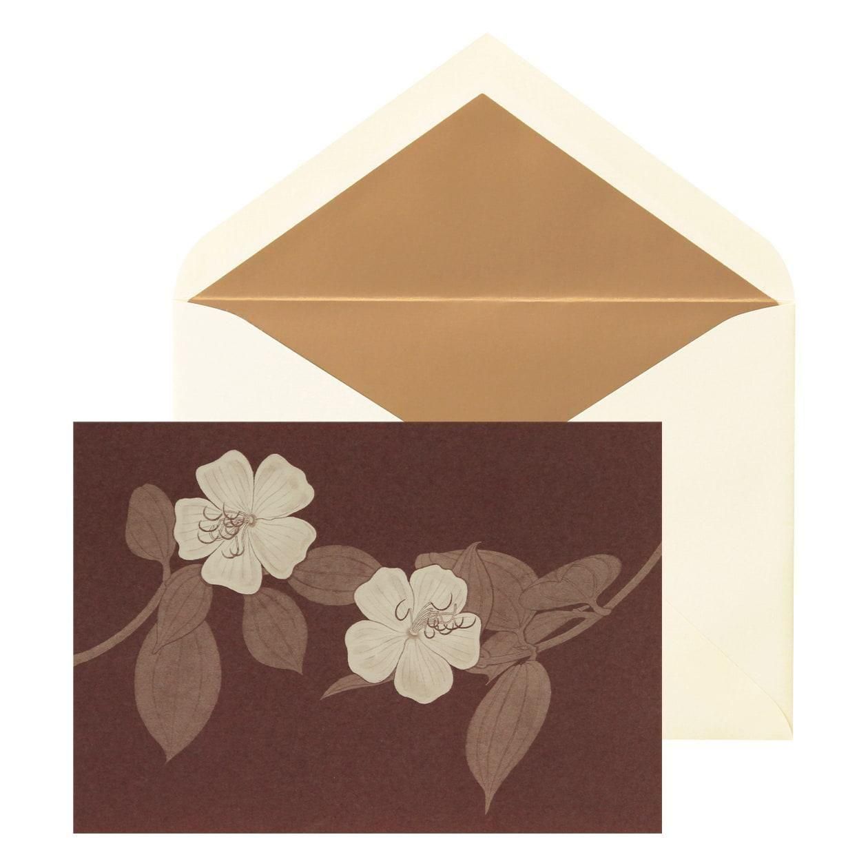 No.631β Υܥ Pɥåȡ6