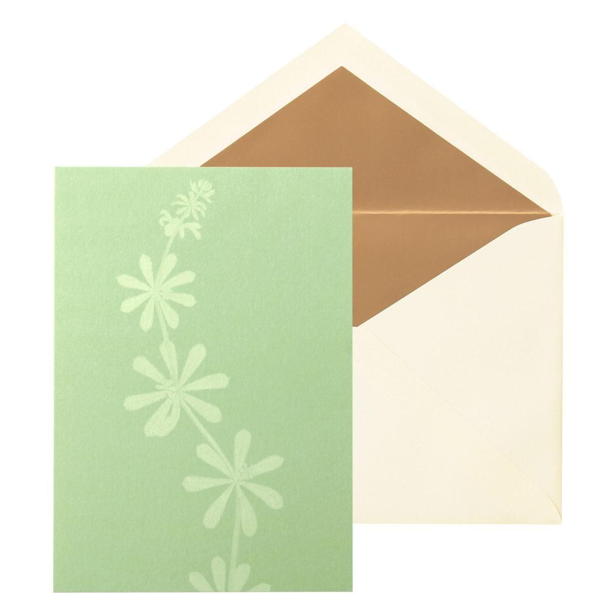 No.631��β� �䥨�॰�� P�����ɥ��åȡ�6������