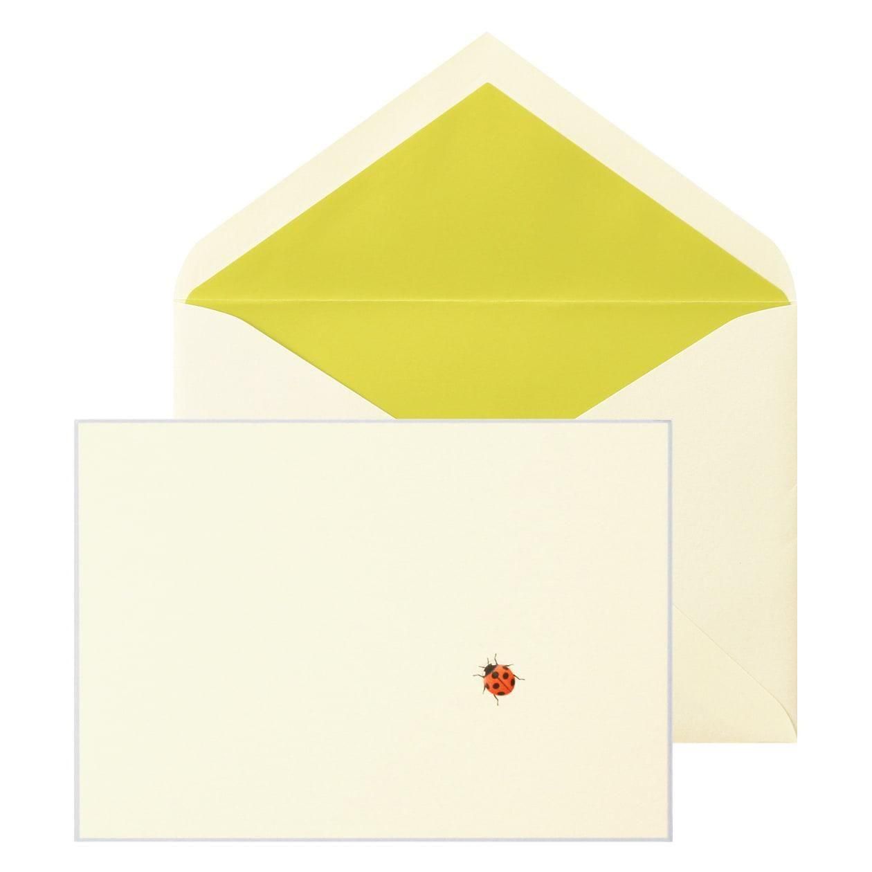 No.700 ƤȤ Pɥåȡ6