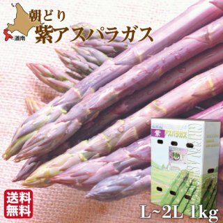 祢ѥL-2L 1kg