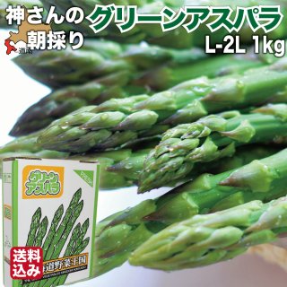 īΤ ƥ꡼󥢥ѥ饬 L-2L 1kg (30)