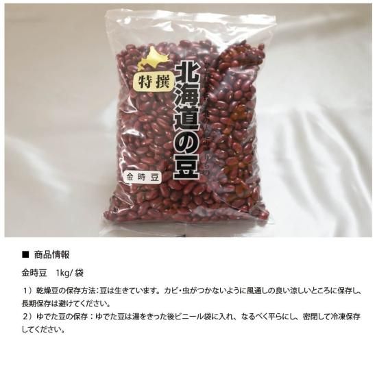 2024年9月北海道 で収穫した 松の実3kg