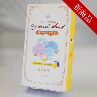 ҥ졦󥸥ֳҥ륵ɡף