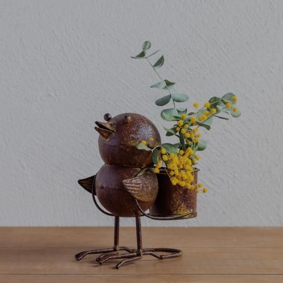 シェフレラ専用 41-EC4P0qhL._UF1000,1000_QL80_.jpg