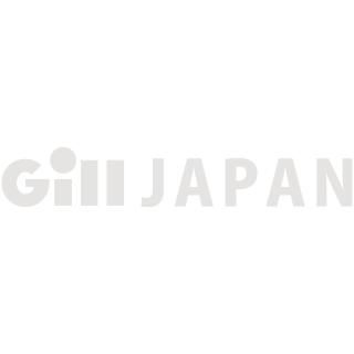 Gill jAPAN ステッカー カッティングシート 600x250mm