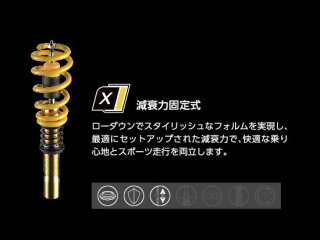 ST COILOVERS Taype-X()TOYOTA86 (ZN6)