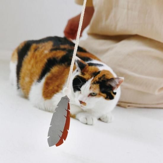<img class='new_mark_img1' src='https://img.shop-pro.jp/img/new/icons30.gif' style='border:none;display:inline;margin:0px;padding:0px;width:auto;' />ã å㡼  ե3ˡ־ǹ