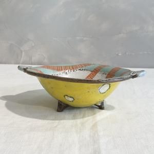 丵ʿshohei iwamoto  ȭ