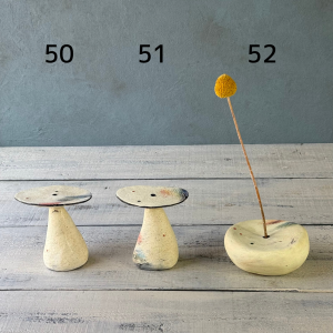 ۾ӹԡKouichi Kobayashiִ50