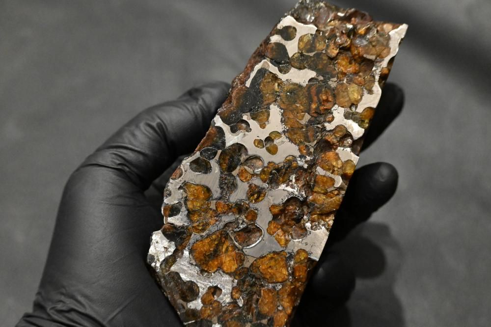 ブレナム隕石(Brenham Meteorite) ブレナム隕石(Brenham meteorite)