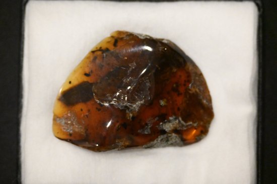 СޥBurmite amber