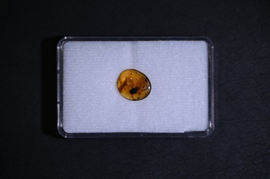 ĥСޥBurmite amber