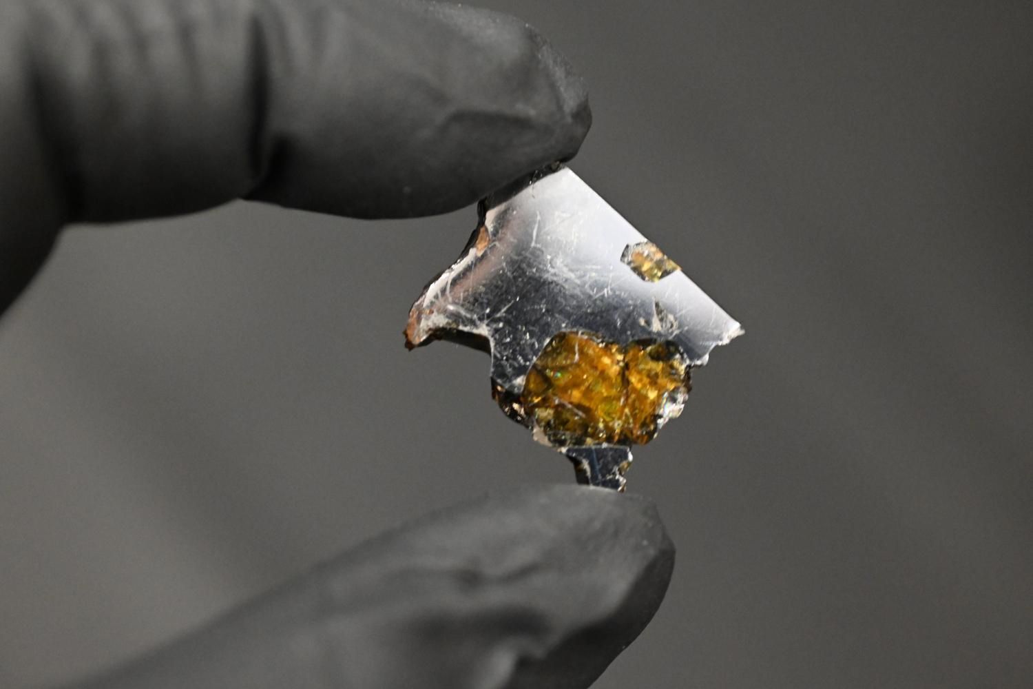 エスケル隕石 (Esquel meteorite)