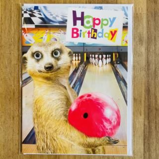 ミーアキャットポーチ　Melia様　フクロモモンガ　ハリネズミ　小動物 ミルキーワン 国産ハリネズミ販売・フクロモモンガ販売・デグー