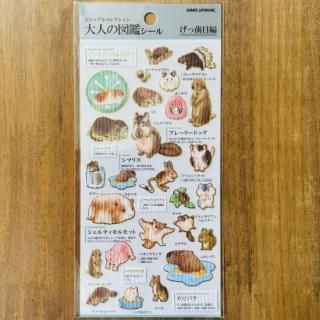 ͤο޴ե֤ûԡסޥꥹ å ޥ饷 ץ졼꡼ɥå ԥХ ӡС  ॵ ƥ