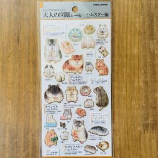 ͤο޴ե֥ϥॹԡסǥϥॹ 󥬥ꥢϥॹ ܥե