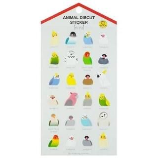 դ֥˥ޥåȥƥåסȥ Ļ  ե ʸĻ