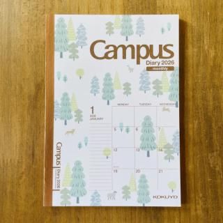 2026ǯǥѥ꡼ B6ޥ󥹥꡼ ĥ ҥĥ