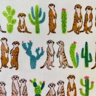 ֥åС֥ߡåȡסߡå