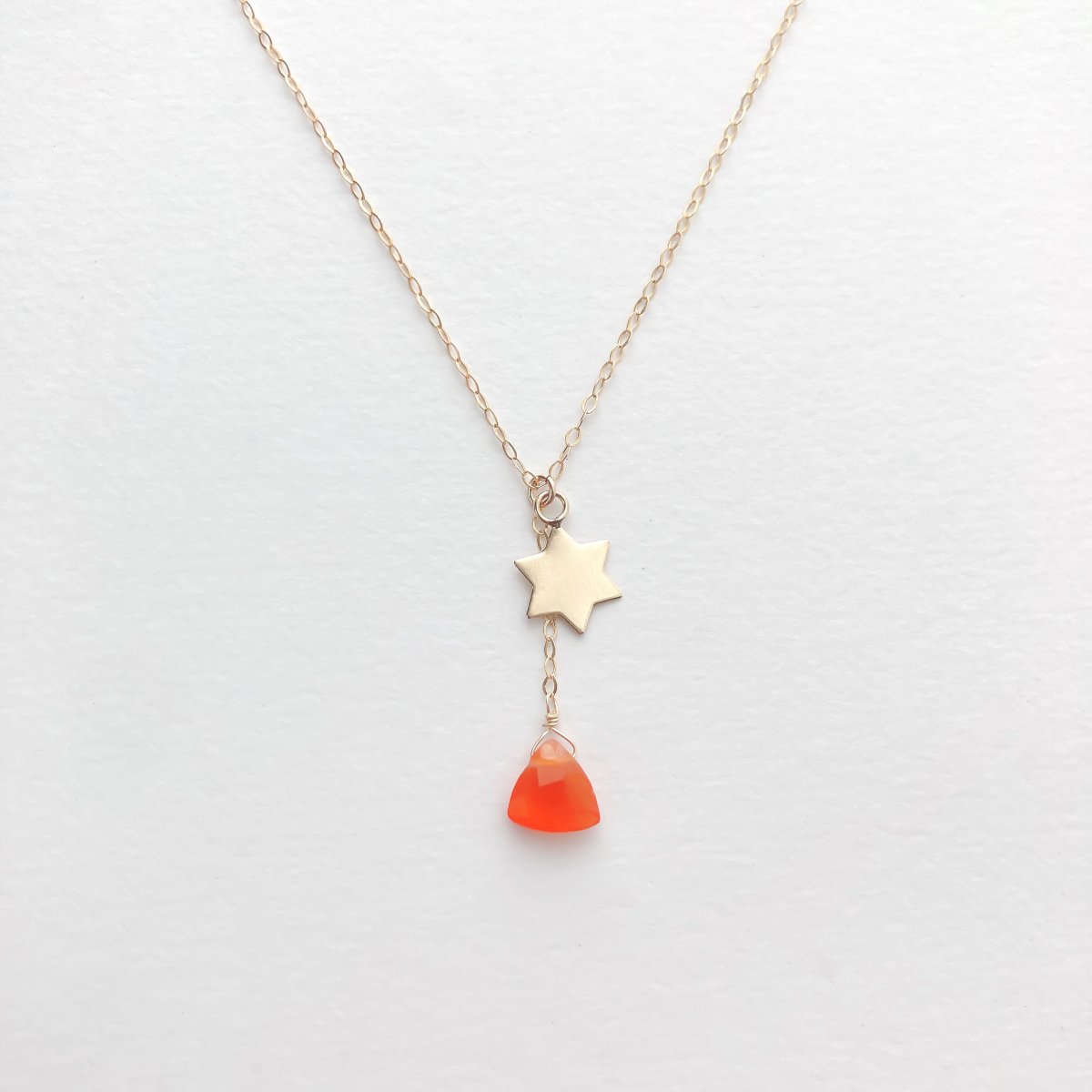 NECLACE:carnelian14KGF-GFN0017a