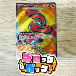 <img class='new_mark_img1' src='https://img.shop-pro.jp/img/new/icons5.gif' style='border:none;display:inline;margin:0px;padding:0px;width:auto;' />֥åѥåڥݥ󥫡 : B [֥ѡ]