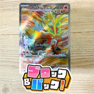 <img class='new_mark_img1' src='https://img.shop-pro.jp/img/new/icons5.gif' style='border:none;display:inline;margin:0px;padding:0px;width:auto;' />֥åѥåڥݥ󥫡 : F [֥ѡ]