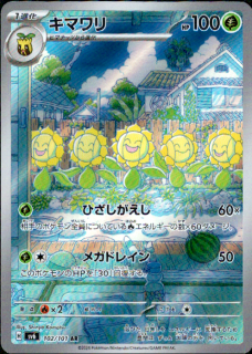 ޥ(102/101 AR)