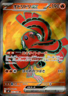 <img class='new_mark_img1' src='https://img.shop-pro.jp/img/new/icons16.gif' style='border:none;display:inline;margin:0px;padding:0px;width:auto;' />ۥɥɥex(SR)(095/080)