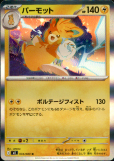 <img class='new_mark_img1' src='https://img.shop-pro.jp/img/new/icons5.gif' style='border:none;display:inline;margin:0px;padding:0px;width:auto;' />ѡå(R)(034/080)