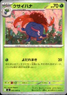 <img class='new_mark_img1' src='https://img.shop-pro.jp/img/new/icons5.gif' style='border:none;display:inline;margin:0px;padding:0px;width:auto;' />ϥ(ޤ)