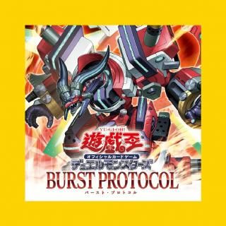 <img class='new_mark_img1' src='https://img.shop-pro.jp/img/new/icons21.gif' style='border:none;display:inline;margin:0px;padding:0px;width:auto;' />ͽò۴ܥѥå BURST PROTOCOLڿ