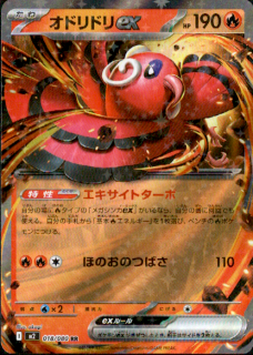 <img class='new_mark_img1' src='https://img.shop-pro.jp/img/new/icons21.gif' style='border:none;display:inline;margin:0px;padding:0px;width:auto;' />ɥɥex(RR)(018/080)