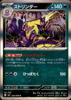 <img class='new_mark_img1' src='https://img.shop-pro.jp/img/new/icons21.gif' style='border:none;display:inline;margin:0px;padding:0px;width:auto;' />ȥ(R)(057/080)