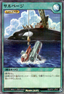 <img class='new_mark_img1' src='https://img.shop-pro.jp/img/new/icons16.gif' style='border:none;display:inline;margin:0px;padding:0px;width:auto;' />ۥ١(ѡѥ)(RD/5TH1-JP081)