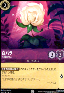 <img class='new_mark_img1' src='https://img.shop-pro.jp/img/new/icons5.gif' style='border:none;display:inline;margin:0px;padding:0px;width:auto;' />白バラ 花園の宝石(C)(40/204)