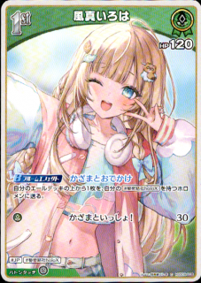 ����������(C)(hSD06-005)