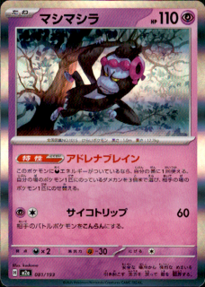 <img class='new_mark_img1' src='https://img.shop-pro.jp/img/new/icons5.gif' style='border:none;display:inline;margin:0px;padding:0px;width:auto;' />ޥޥ(081/193)(ۥ)