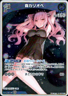 <img class='new_mark_img1' src='https://img.shop-pro.jp/img/new/icons5.gif' style='border:none;display:inline;margin:0px;padding:0px;width:auto;' />�����ꥪ��(R)(hBP06-059)