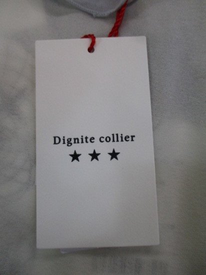 ǥ˥ƥꥨ Dignite collierۿPOե꡼ 031եۥ磻