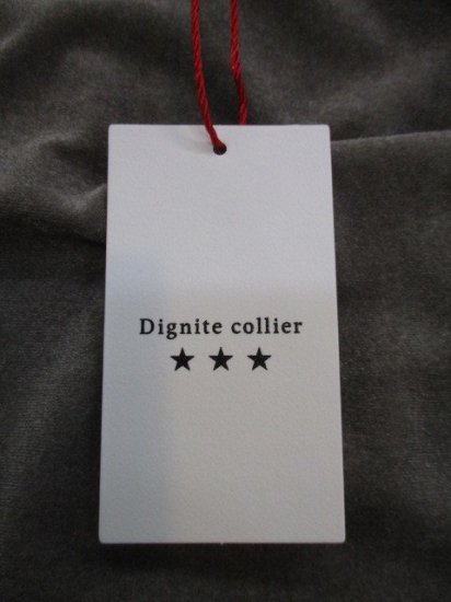 ǥ˥ƥꥨ Dignite collier٥ĹµTġKHAKI