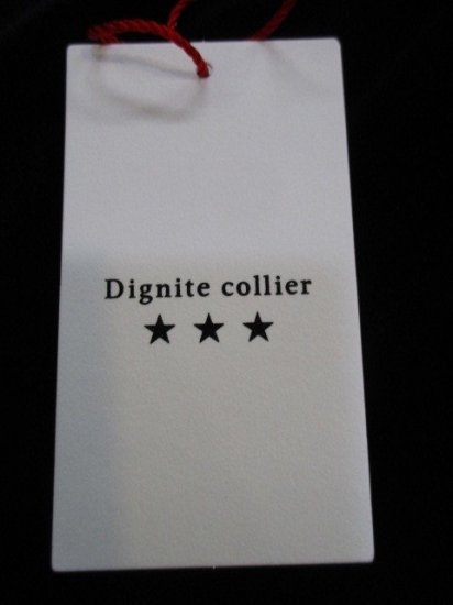 ǥ˥ƥꥨ Dignite collier٥ĹµTġBLACK