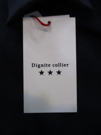 ǥ˥ƥꥨDignite collier΢POե꡼ͥӡ