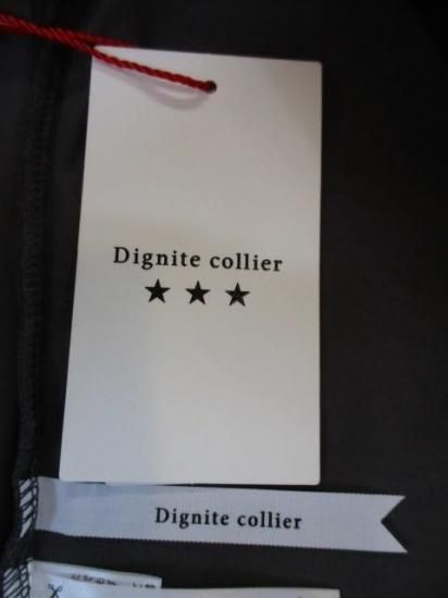 ǥ˥ƥꥨ Dignite collier ӥץ2wayT TK-80256001-㥳