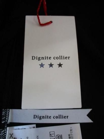 ǥ˥ƥꥨ Dignite collier ץ2WAY TTK-80256000- ֥å
