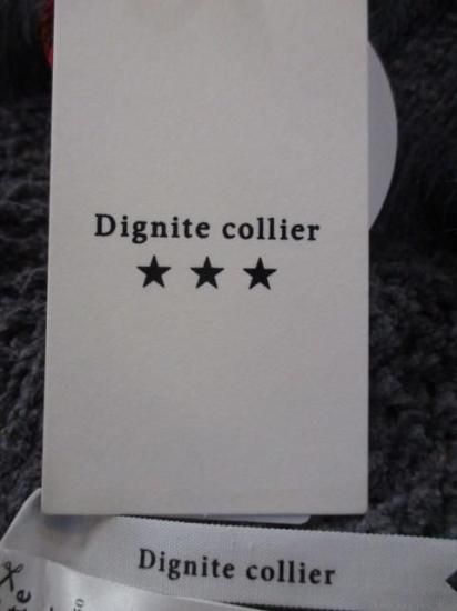 送料無料 Dignite collier ディニテコリエ ベロアメッシュニットプルオーバー KLT-80256350 レディース 25秋冬 フリンジ メッシュ カジュアル キレイめ CHARCOAL