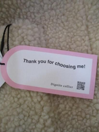 ǥ˥ƥꥨ Dignite collier ࡼȥ̡ JS-80256811-١
