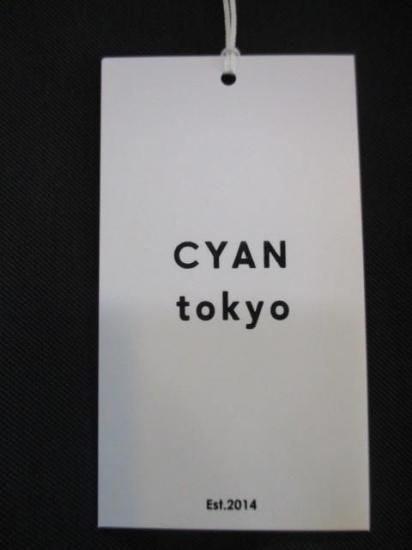 送料無料 シアントーキョー CYAN TOKYO アームプリーツ3Dベスト 507400 アームプリーツ 3Dベスト ジレ ノーカラー Vネック レイヤード CHRACOALGRAY